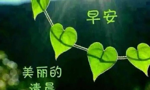 模特脸型凹陷好看吗-模特的脸为什么是凹进去的-模特脸型凹陷好看吗,中国模特脸上有坑网站