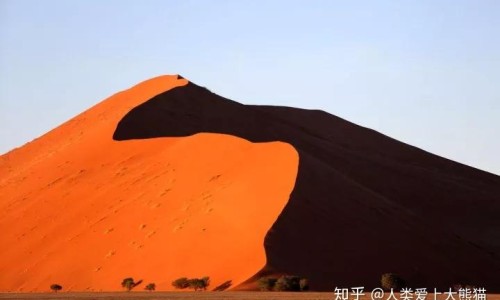 模特脸上可以有痣吗-模特的脸为什么是凹进去的-模特脸型凹陷好看吗,中国模特脸上有坑网站